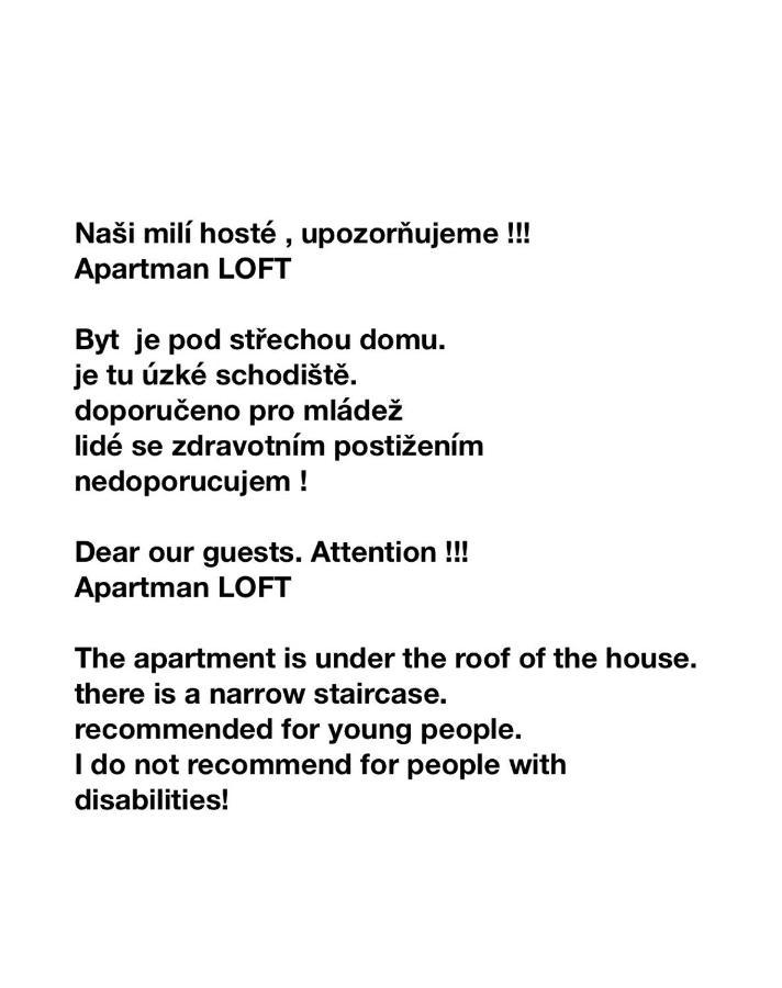 체스키크룸로프 Loft Natalya Gold 아파트 외부 사진